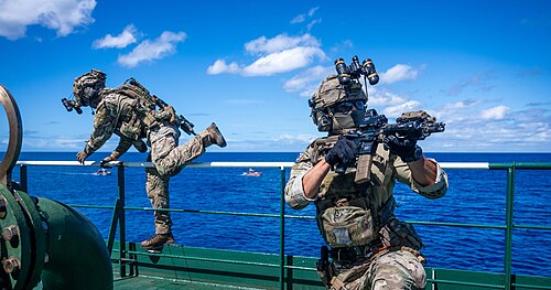 UDT/SEALs (Republic of Korea)