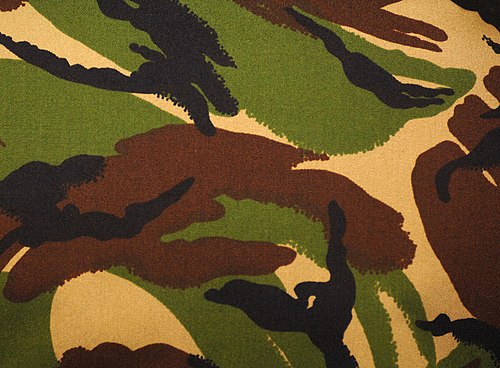 Woodland DPM